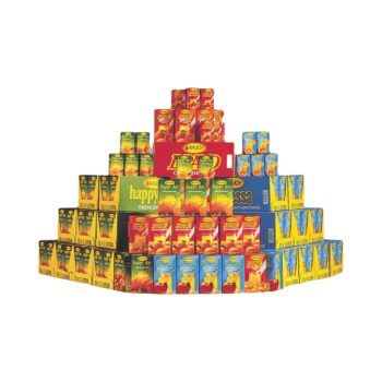 JUS RAUCH 100% TOUT LES GOUT MIX 20CL X 24
