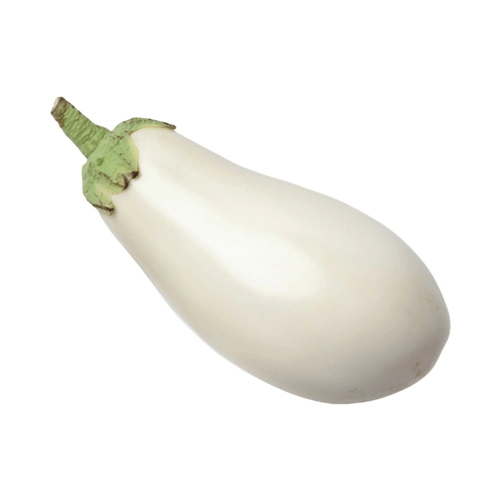 AUBERGINE BLANCHE carton